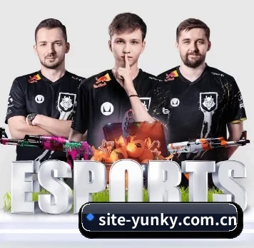 AI 革新 - yunsports