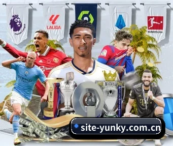site-yunky.com.cn APP(yunsports)